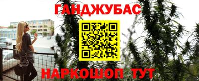 амф Гусев