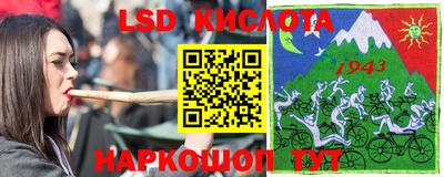 амф Гусев